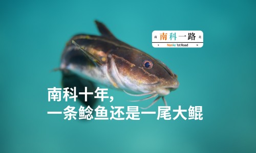 头部ct副鼻窦ct区别大吗-头部ct副鼻窦ct区别-专业头部ct和核磁共振有什么区别平台-头部ct和头部核磁有啥区别