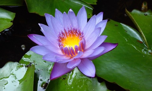 头颅ct查出副鼻窦炎怎么治-头部ct副鼻窦ct区别-专业头部ct和核磁共振有什么区别平台-头部ct和头部核磁有啥区别
