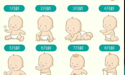 头部ct副鼻窦ct区别大吗-头部ct副鼻窦ct区别-专业头部ct和核磁共振有什么区别平台-头部ct和头部核磁有啥区别
